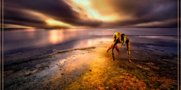 Le Voir et l'Entre-Voir