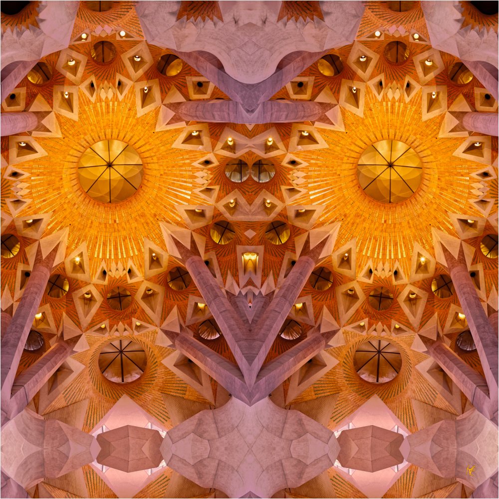 Une_Chouette_dans_l'Arbre