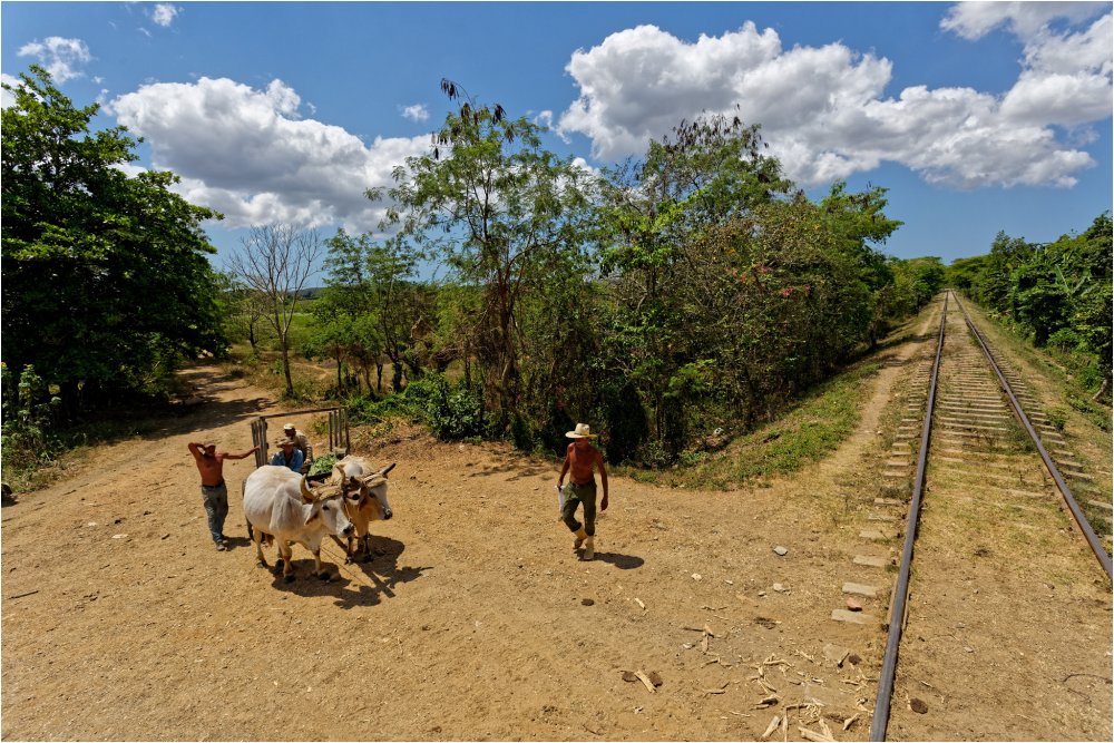 Laissons passer le train