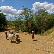Laissons passer le train