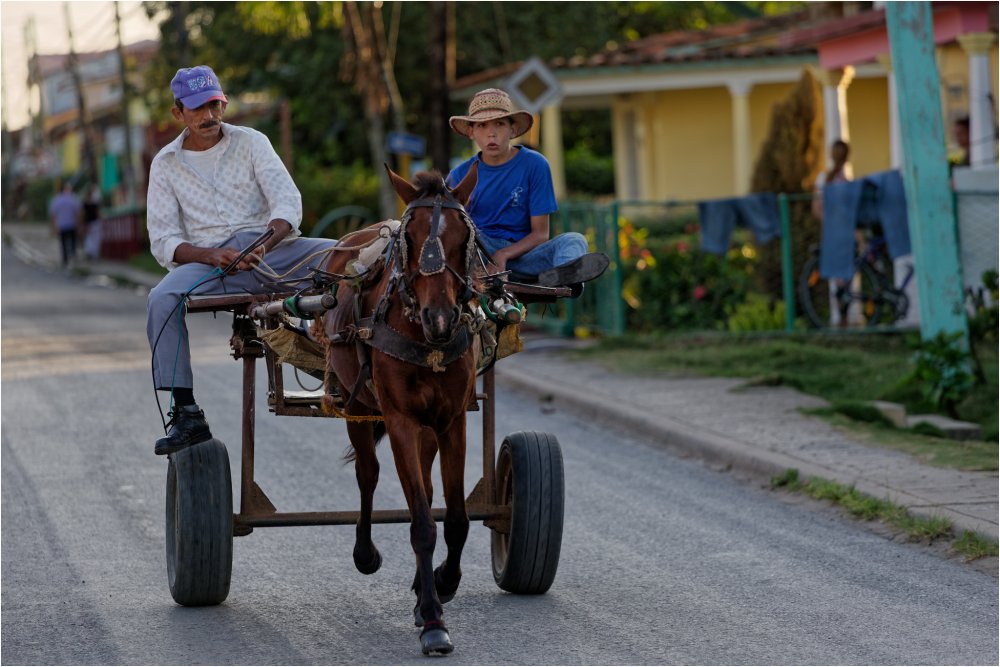 Clip clap clop du matin