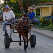 Clip clap clop du matin